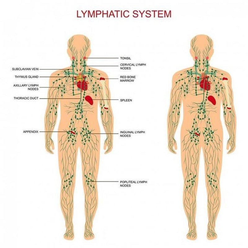 2019 Lymphatic Drainage Ginger Oil