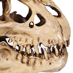 Tyrannosaurus Rex Realistic Resin Skull