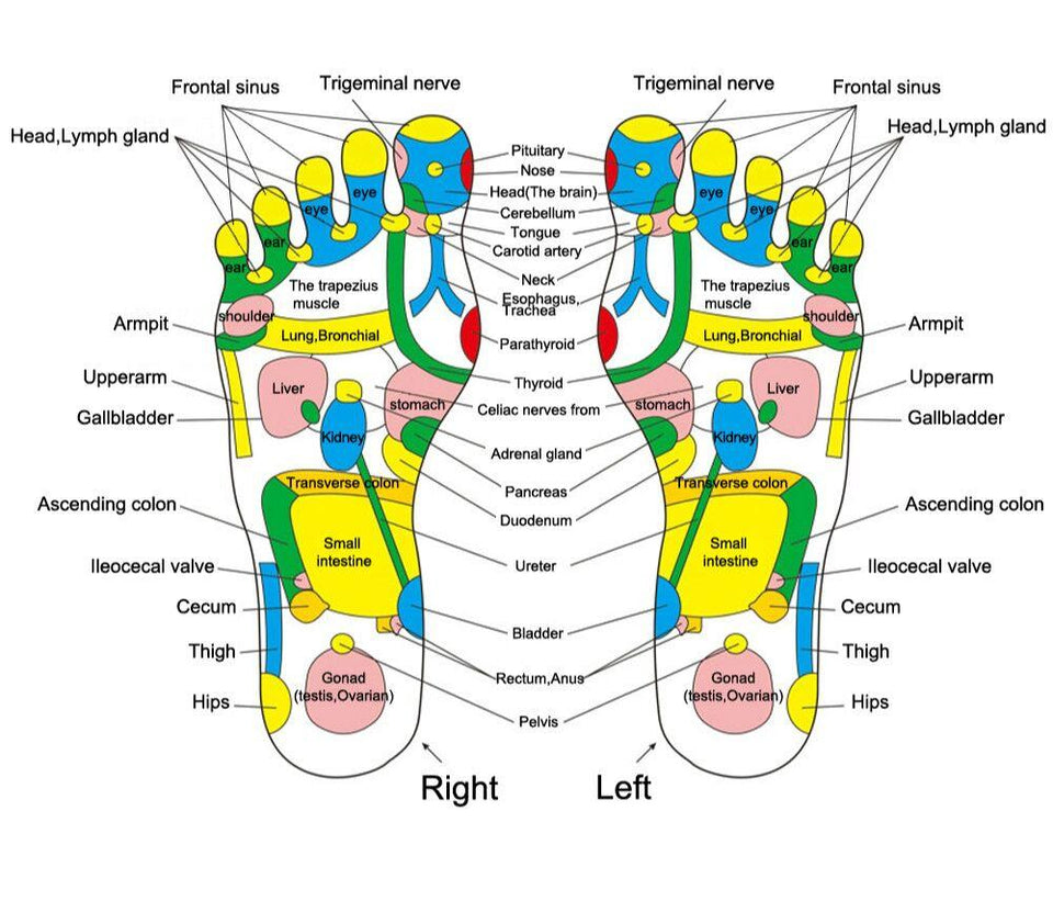 Acupuncture Cobblestone Reflexology