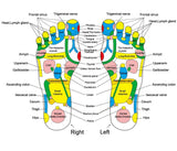 Acupuncture Cobblestone Reflexology