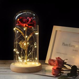 Gold Plated Dome LED Roses