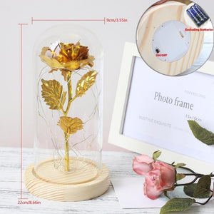 Gold Plated Dome LED Roses