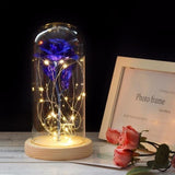 Gold Plated Dome LED Roses