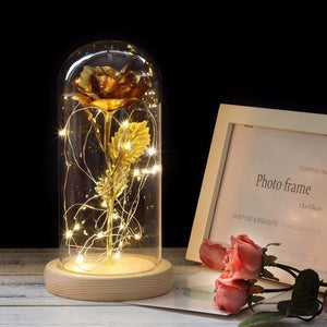 Gold Plated Dome LED Roses