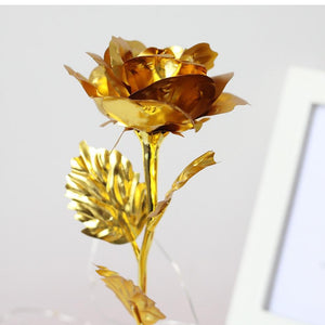 Gold Plated Dome LED Roses