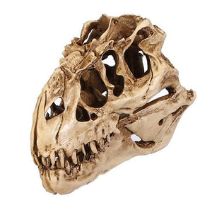 Tyrannosaurus Rex Realistic Resin Skull