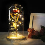 Gold Plated Dome LED Roses