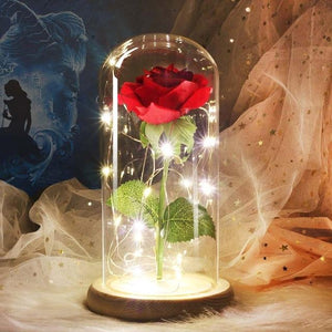 Gold Plated Dome LED Roses