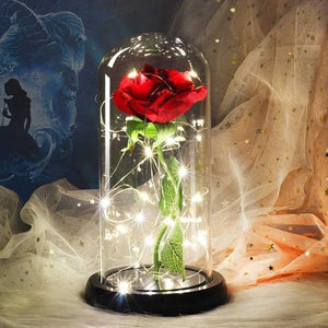 Gold Plated Dome LED Roses